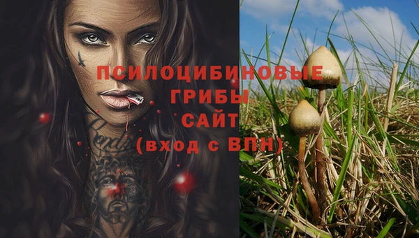 COCAINE Баксан