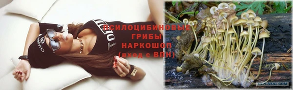ГАЛЛЮЦИНОГЕННЫЕ ГРИБЫ Балабаново