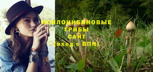 твердый Сатка