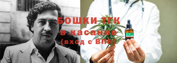 эйфоретик Арсеньев