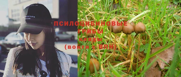 эйфоретик Арсеньев