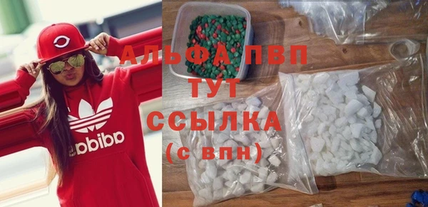 эйфоретик Арсеньев