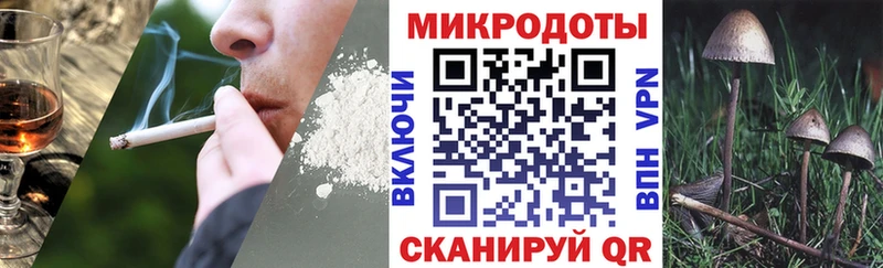Галлюциногенные грибы Psilocybine cubensis  продажа наркотиков  Петухово 